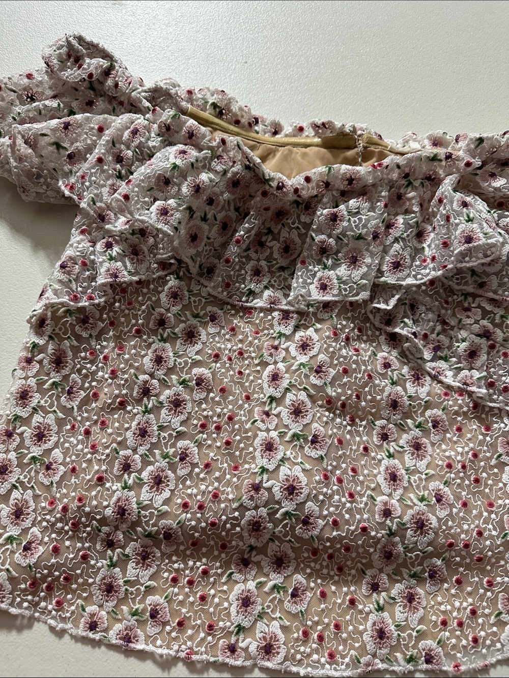 Tularosa Floral Lace Ruffle Blouse - Pink & Cream
